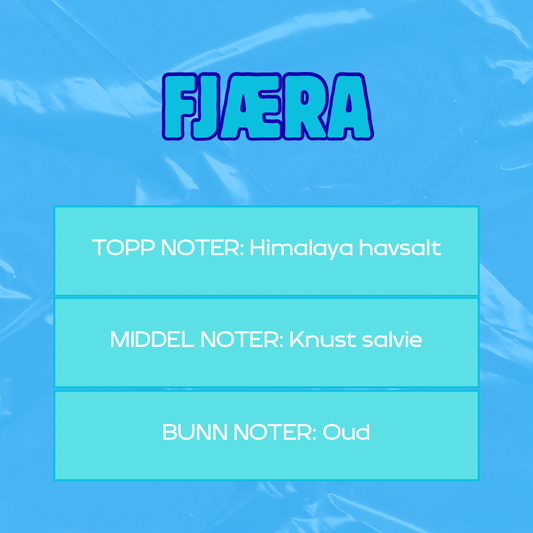 Beskrivelse av duft
Toppnoter: Himalaya havsalt
Middelnoter: Knust salvie
Bunnoter: Oud