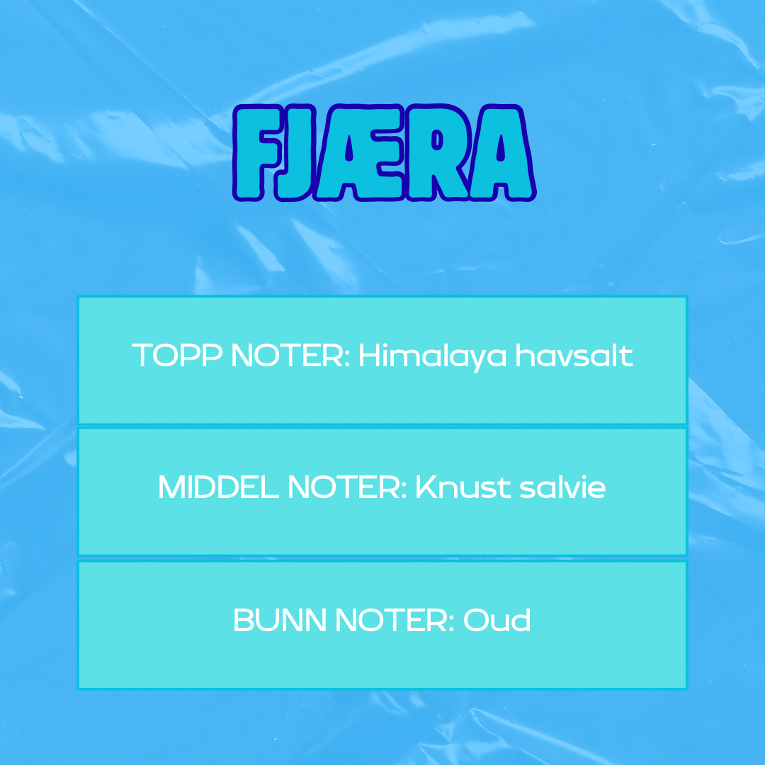 Beskrivelse av duft
Toppnoter: Himalaya havsalt
Middelnoter: Knust salvie
Bunnoter: Oud